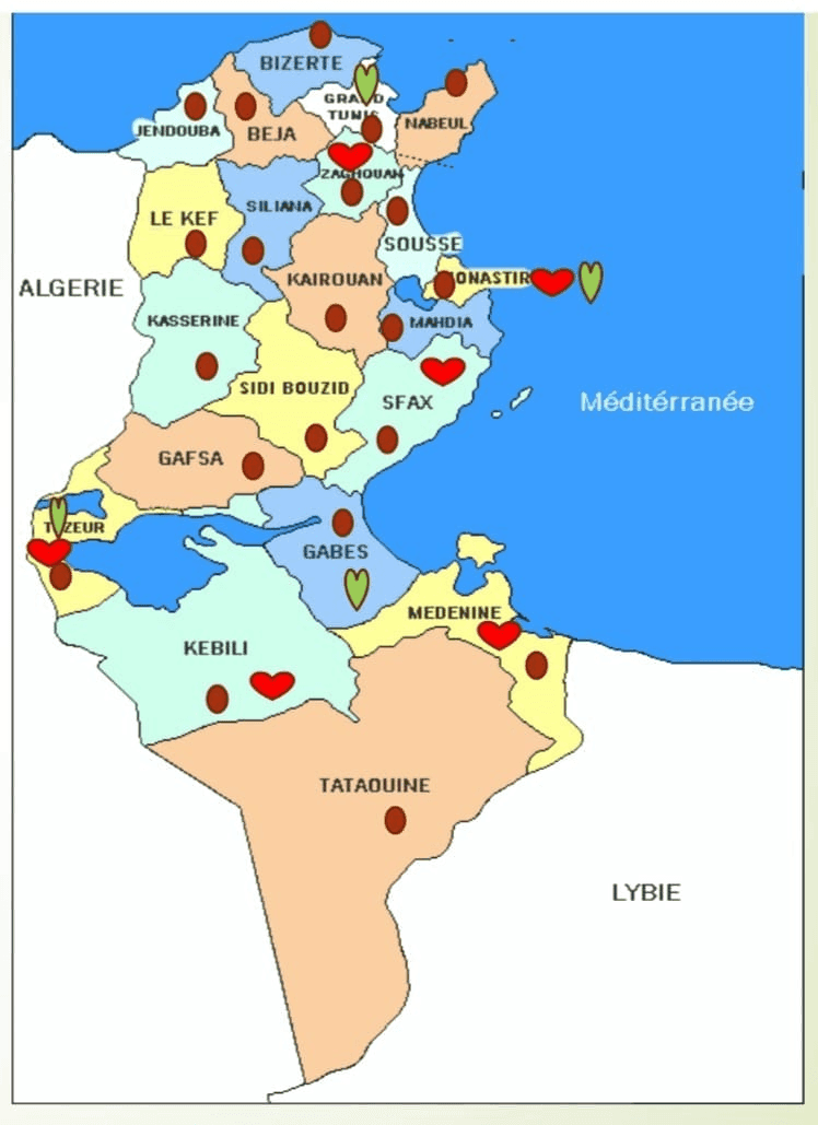 Photo OXYTUNISIA : Réservation de 104 concentrateurs d’oxygène pour la Tunisie